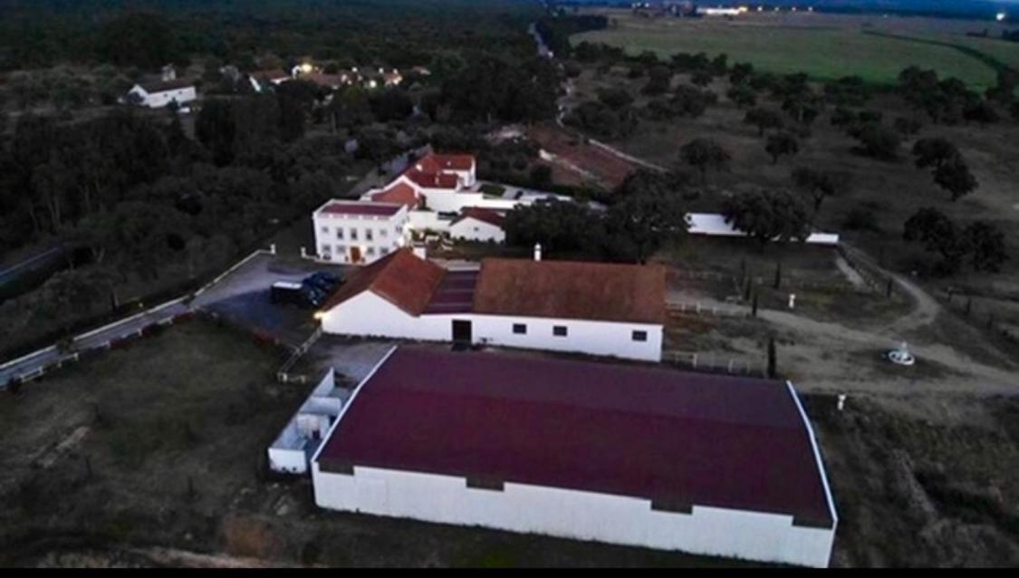 Herdade De Santa Maria Almeirim Ngoại thất bức ảnh