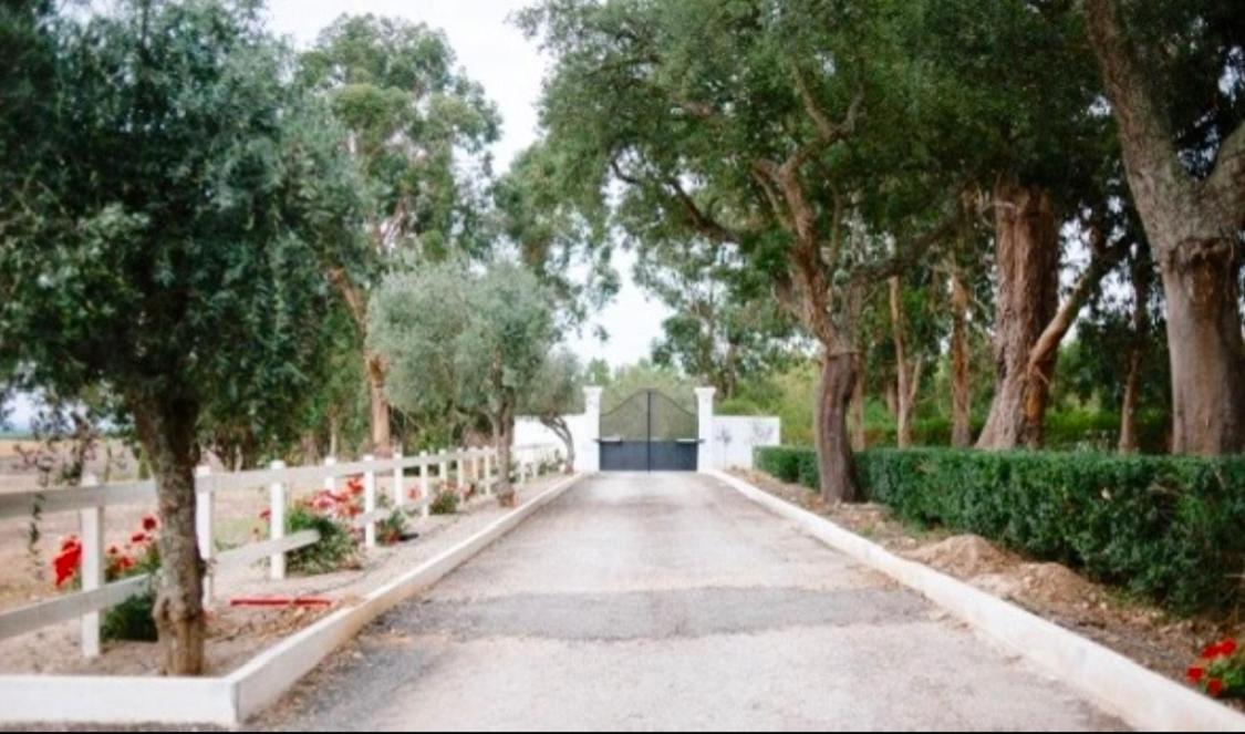 Herdade De Santa Maria Almeirim Ngoại thất bức ảnh